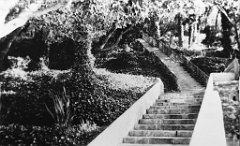 ORAN 02517